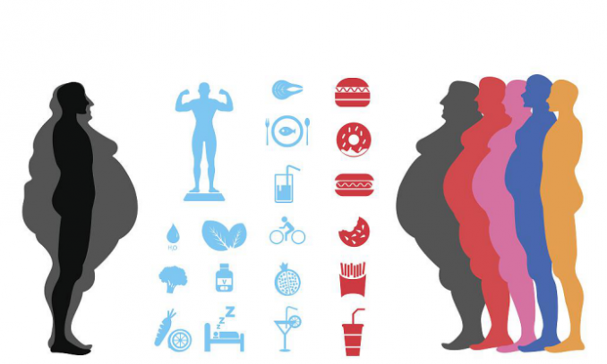 【世界衛生組織2020指南】這個冬天你胖了嗎？